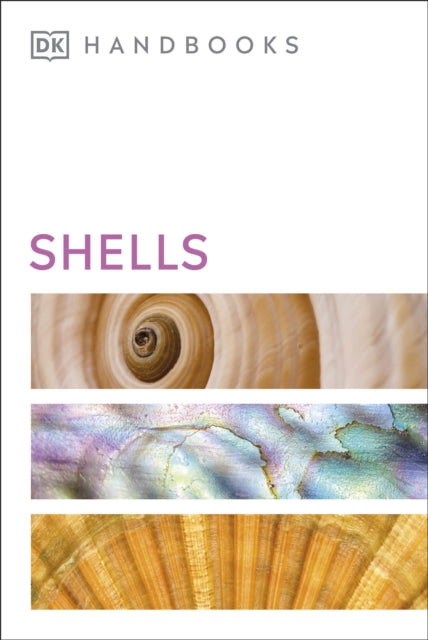 Shells by DK
