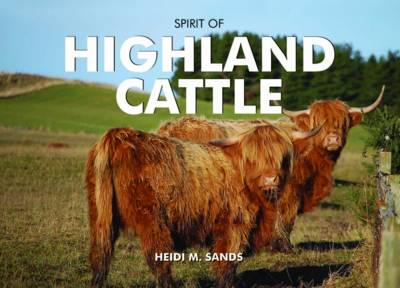 spirit of Highland Cattle by Heidi M. Sands - KINGDOM BOOKS LEVEN