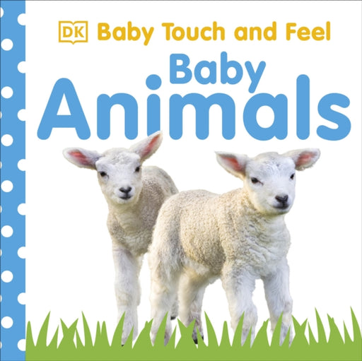 Touch and Feel baby Animal
