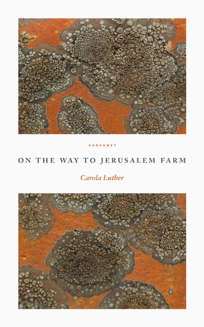On the Way to Jerusalem Farm - KINGDOM BOOKS LEVEN