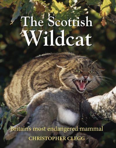 The Scottish Wildcat by Christopher Clegg - KINGDOM BOOKS LEVEN