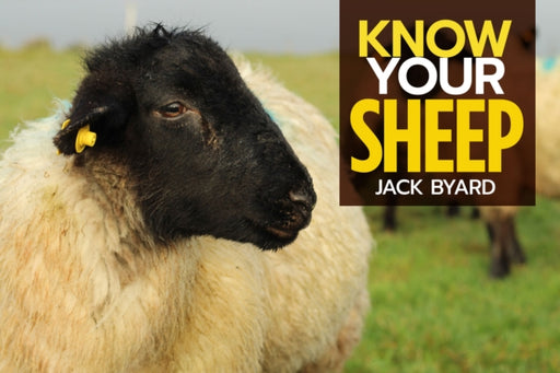 Know Your Sheep - KINGDOM BOOKS LEVEN