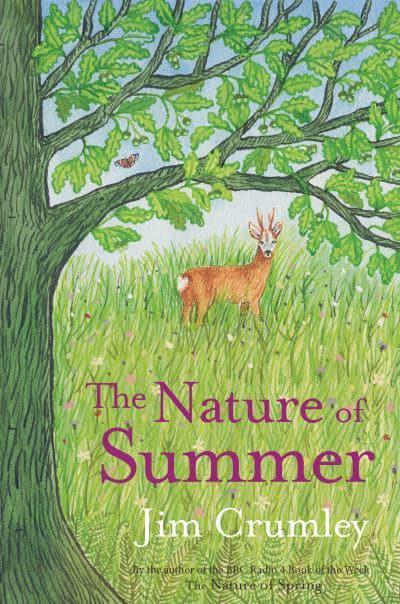 The Nature of Summer - KINGDOM BOOKS LEVEN