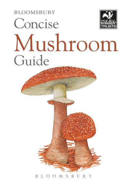 Concise Mushroom Guide - KINGDOM BOOKS LEVEN