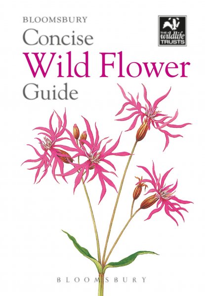 Concise Wild Flower Guide - KINGDOM BOOKS LEVEN