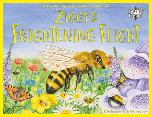 Ziggy's Frightening Flight - KINGDOM BOOKS LEVEN